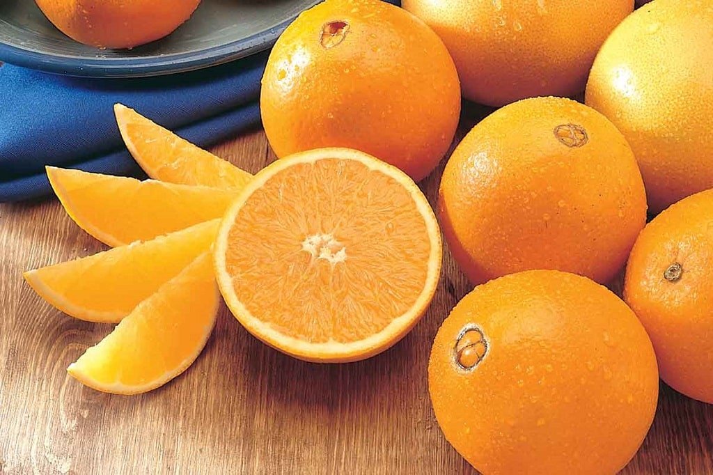 پرتقال آنتی بیوتیک های طبیعی