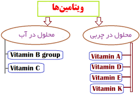 مکانیسم جذب ویتامین های محلول در چربی