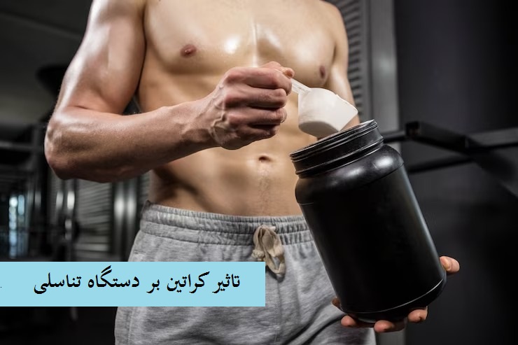 تاثیر کراتین روی دستگاه تناسلی