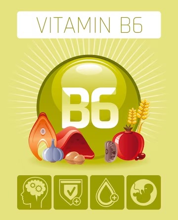 Vitamin B6 for obesity