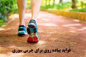 فواید پیاده روی برای چربی سوزی