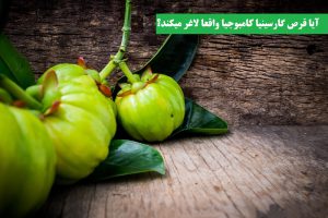 آیا قرص گارسینیا کامبوجیا واقعا لاغر میکند؟